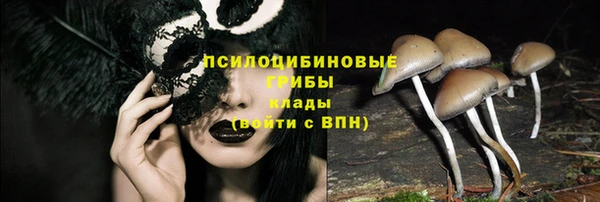МДМА Козельск
