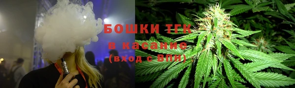 стаф Козловка