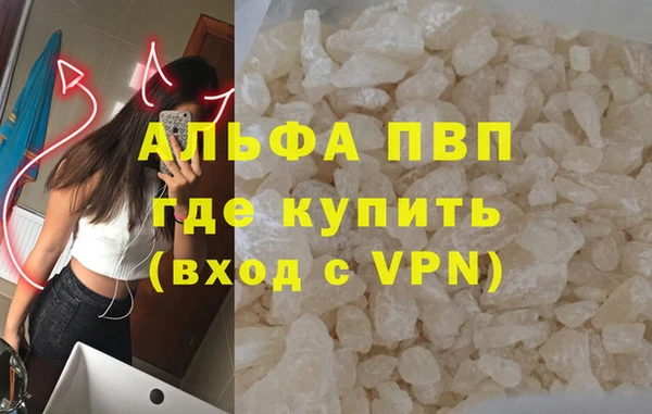 стаф Козловка