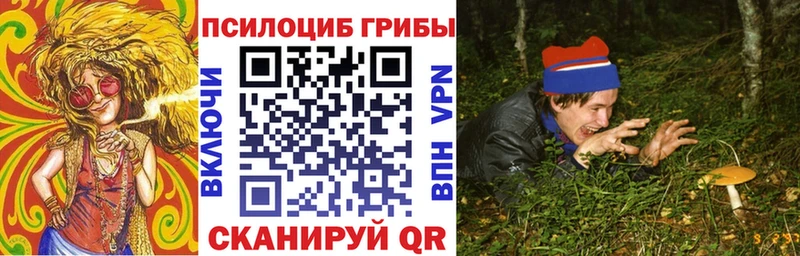 Купить где  Апшеронск  Псилоцибиновые грибы прущие грибы 